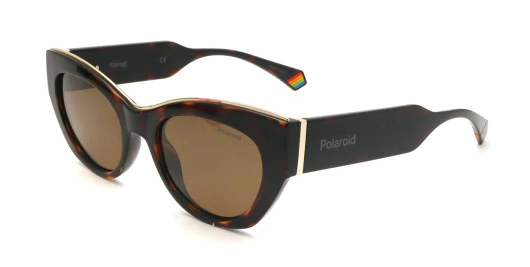 Wholesale Oversized Fashionable Women UV400 Black Sunglases Colored Sunglasses Leopard Sun Glasses