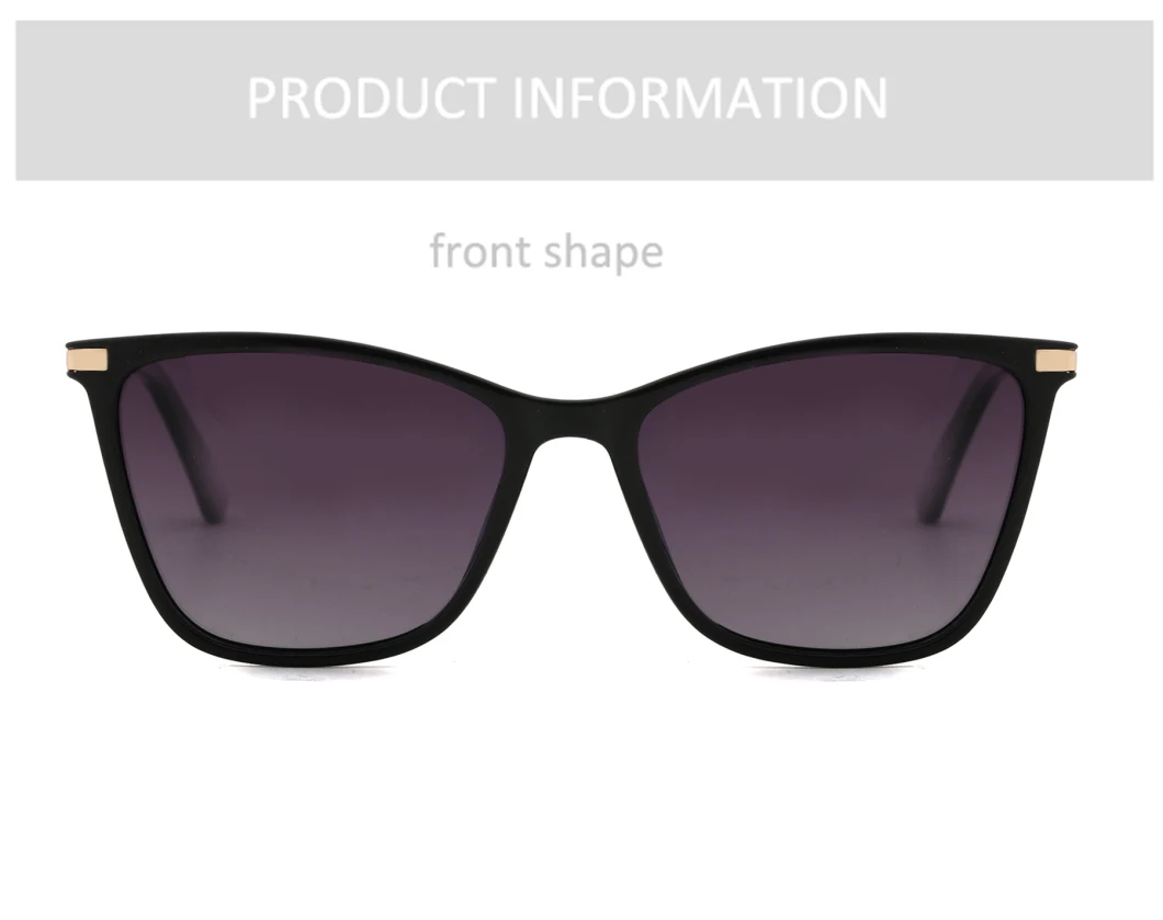 2022 Popular Products Fashion New Products Designed Personality Tr Metal Sunglasses